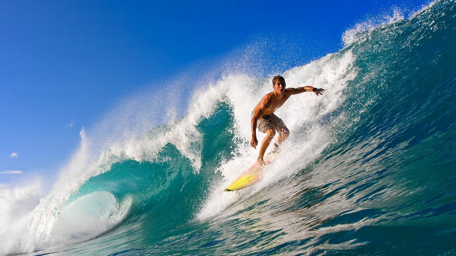 堡垒之夜锦标赛直播人气暴涨