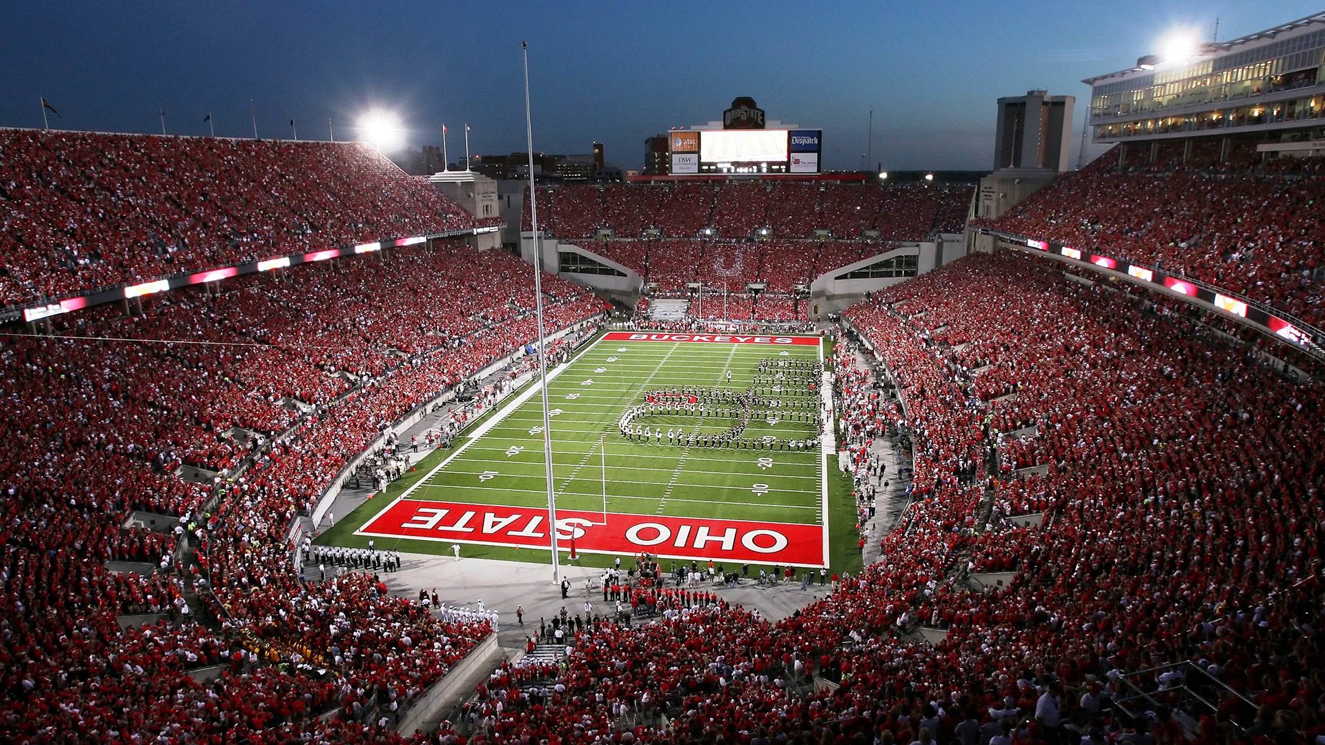 巴西男足主帅：未能晋级是“巨大的失望”